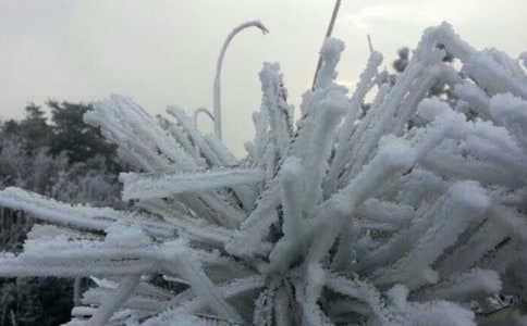 ÷�h�͜�˪�����A�󷽷��о�