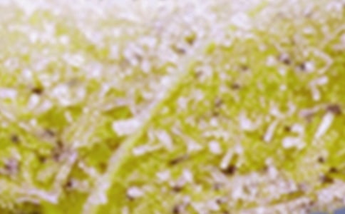 ���׵؅^(q��)һ����˪���^�̷���