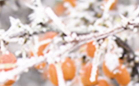 �����r�^1958-2007��K˪����׃��څ��