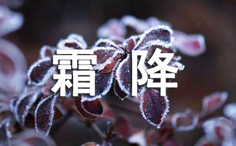 霜降時節(jié)經(jīng)典祝福短信