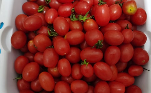 �����ʲôˮ����