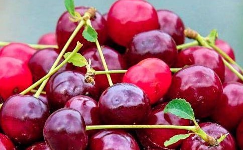 【優(yōu)】什么水果養(yǎng)胃