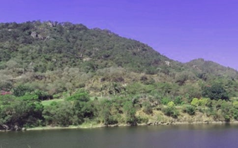 �ε�����ˮ�����ġ��᡿