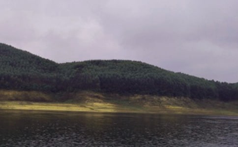 ��ͩϪˮ������