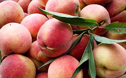 陽山水蜜桃作文(精品)