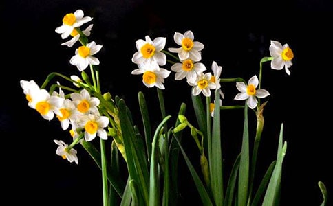 孫周卿《水仙子·舟中》散曲賞析