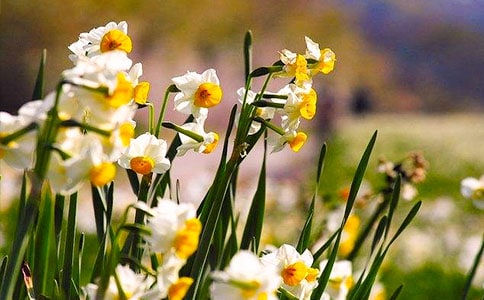 �Ҽҵ�ˮ�ɻ����ģ���(y��u)�x11ƪ��