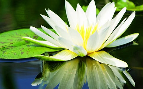 ˯ɏ��(y��u)�����ģ����x28ƪ��