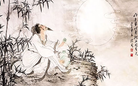 我和蘇軾有個約定的作文