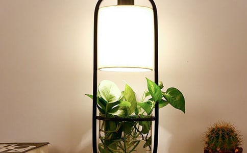 小臺燈小學作文