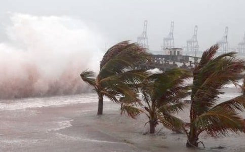 臺風來了作文15篇(優)