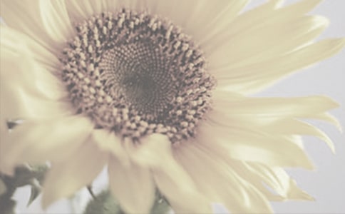 ̫ꖻ�����300��