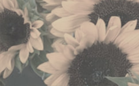 ���x̫ꖻ�������ƪ