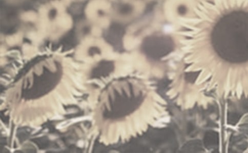 (�])�ڴ����̫ꖻ��Ĺ���