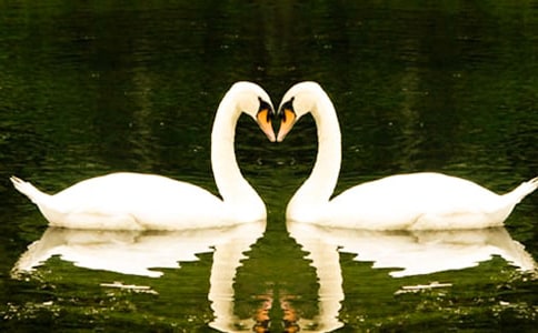 ����С̖�����Z���x���