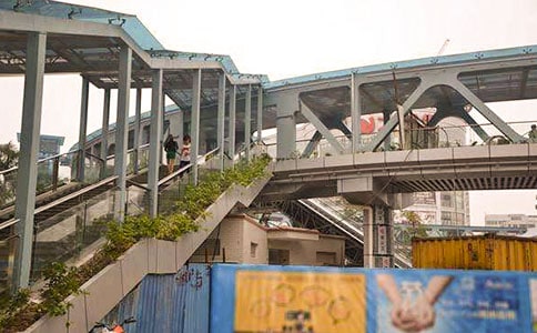 “綠化”天橋活動總結