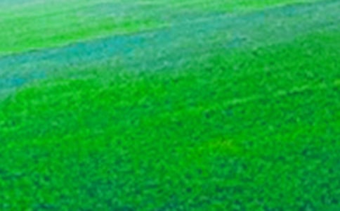 �S�յ���Ұ����