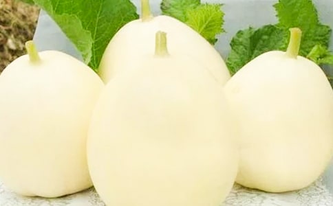 厚皮甜瓜新品種「紅星」及栽培技術(shù)要點