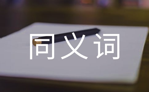 縱觀的同義詞是什么