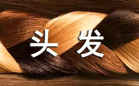 梳頭發作文