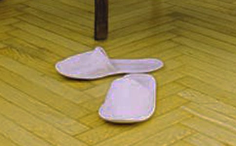 拖鞋去哪了作文