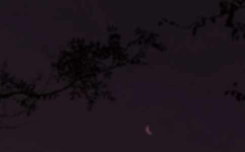 ��������Ȧ�������ţ�ͨ��135�䣩