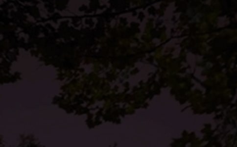 ����ϵ���������Z����37�l