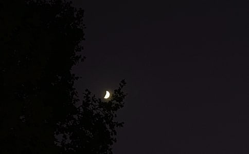 ��(y��u)����������(w��n)���Z(y��)���ţ����x330�䣩