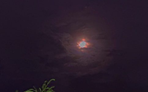 經典晚安心語短信84句