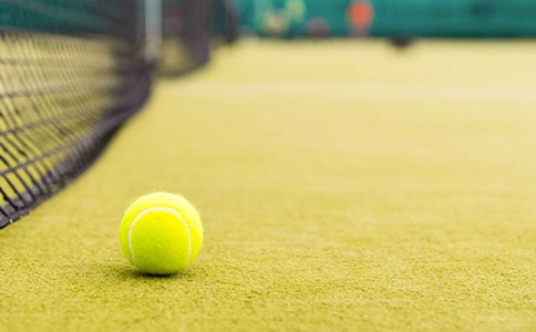 打網(wǎng)球作文精品(9篇)