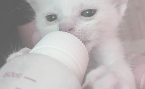 �o����ι�̷�Ҫע��ʲô��