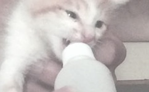 喂奶期間能夠用面膜嗎