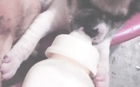 ι�̺��鷿�۵��ί��k��