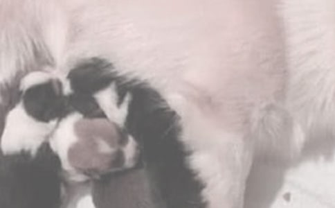 �냺ι�̕r�g �������ƌWι�̕r�g