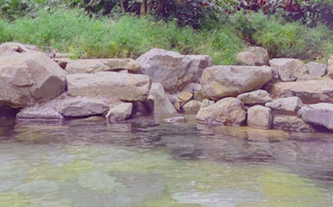 �ݜ�Ȫ����[���x15ƪ]