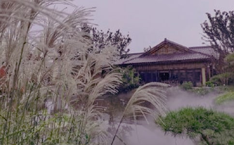 泡溫泉作文(通用15篇)