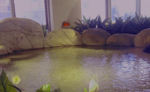 ��Ȫ���Ĺ�Ч�c������ˎ�Ãrֵ���÷�����