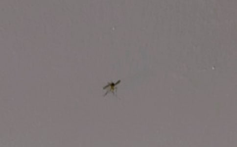 ���ӵ��������ģ��ϼ�15ƪ��