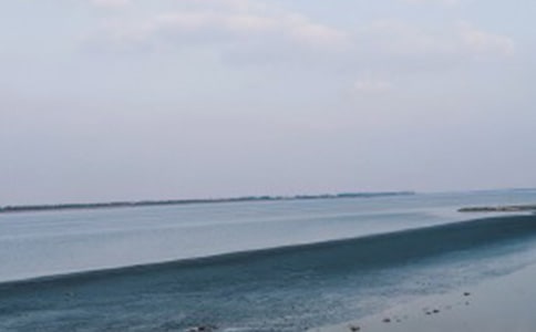 (必備)我們看海去作文4篇