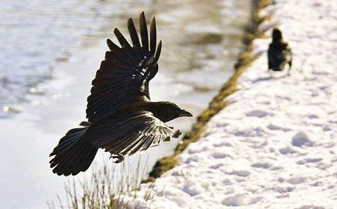 �͞��f�������x���[���T]