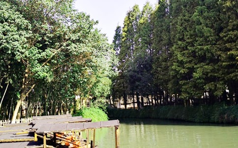 游烏鎮作文15篇(集合)