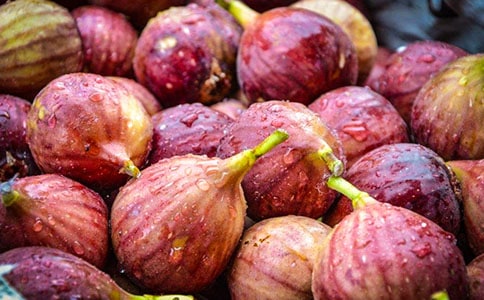 (經典)無花果樹作文15篇