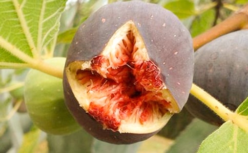 ���؂䣩�o��������15ƪ