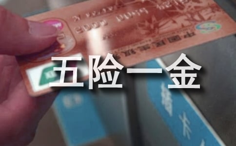 五險一金申請書