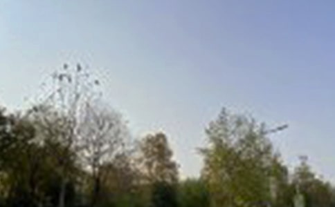 關于勵志午安短信70句精選