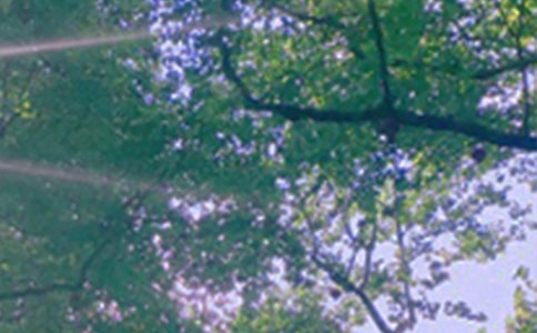 �������簲�����Z���Ŵ�R��80��