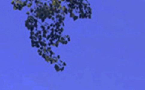 唯美的午安心語短信55條