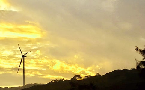 2024年午安問候語短信錦集35條