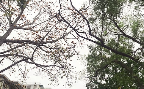 2024年午安心語短信匯總93條