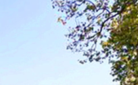 �����簲�f�f50��